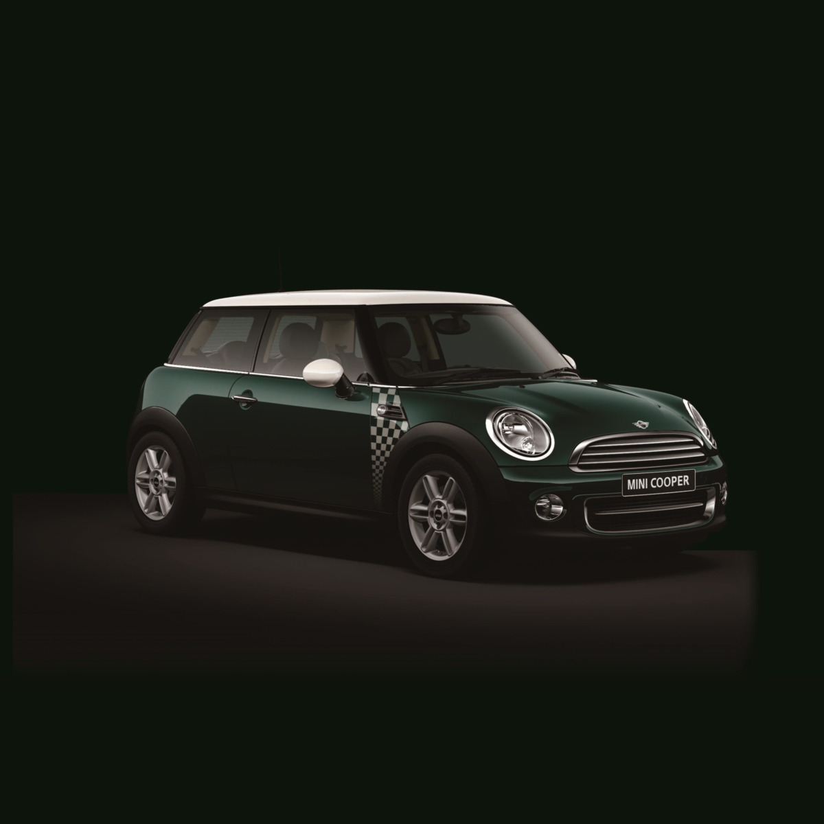 ミニスピードゲートのモデル概要